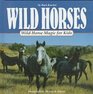 Wild Horses Wild Horse Magic for Kids