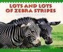 Lots and Lots of Zebra Stripes Patterns in Nature