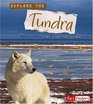 Explore the Tundra