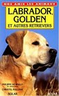 Labrador golden et autres retrievers