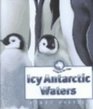 Icy Antarctic Waters