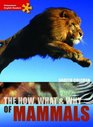 The How What and Why of Mammals
