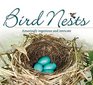 Bird Nests Amazingly Ingenious and Intricate