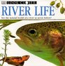 Look Closer: River Life