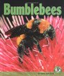 Bumblebees (Early Bird Nature Books)