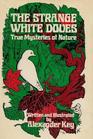 The strange white doves True mysteries of nature