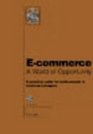 eCommerce  A World of Opportunity A Practical Guide for Professionals and Business Managers