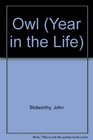 Owl (Stidworthy, John, Year in the Life.)
