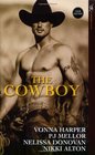 The Cowboy: Wild Ride / Cowboy in Paradise / Saddle Sore / Rodeo Man (Club Fantasy)