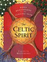The Celtic Spirit : Daily Meditations for the Turning Year