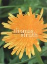 Thomas Struth Thomas The Dandelion Room