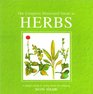 The Complete Illustrated Guide to Herbs