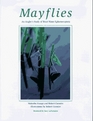 Mayflies An Angler's Study of Trout Water Ephemeroptera