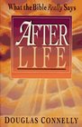 After Life What the Bible Really Says