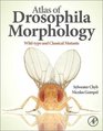 Atlas of Drosophila Morphology Wildtype and Classical Mutants
