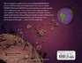 A Is for Asteroids Z Is for Zombies A Bedtime Book about the Coming Apocalypse