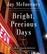 Bright, Precious Days: A novel
