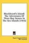 Blackbeard's Island The Adventures Of Three Boy Scouts In The Sea Islands