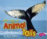 Let's Look at Animal Tails
