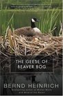 The Geese of Beaver Bog