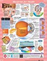 Blueprint for Health Your Eyes Chart