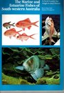The Marine and Estuarine Fishes of Southwestern Australia