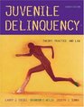 Juvenile Delinquency  Theory Practice and Law