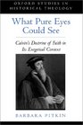 What Pure Eyes Could See Calvin's Doctrine of Faith in Its Exegetical Context