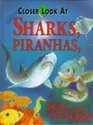 Closer Look at Sharks Piranhas Eels and Other Fish
