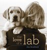 The Love of a Lab