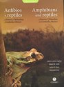 Amphibians and Reptiles of Sonora Chihuahua and Coahuila Mexico Vol 1