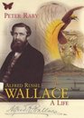 Alfred Russel Wallace A Life