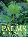 An Informative Practical Guide to Palms of the World Their Cultivationand Landscape Use