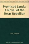 Promised Lands A Novel of the Texas Reb