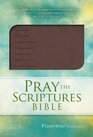GW Pray the Scriptures Bible Brown, Lord's Prayer Design Duravella
