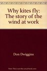 Why kites fly The story of the wind at work