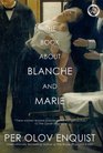 The Book About Blanche and Marie A Novel