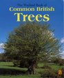 The Wayland Book of Common British Trees A Photographic Guide