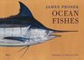 James Prosek Ocean Fishes Limited Edition Paintings of Saltwater Game Fish