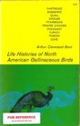 Life Histories of North American Gallinaceous Birds