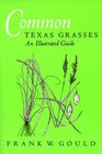 Common Texas Grasses An Illustrated Guide