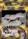 The Eyelash Geckos Care Breeding and Natural History