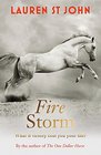 The Fire Stormbook 3