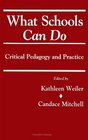 What Schools Can Do Critical Pedagogy and Practice