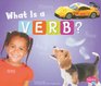 What Is a Verb