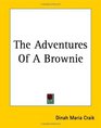 The Adventures Of A Brownie