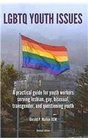 LGBTQ Youth Issues Practical Guide for Youth Workers Serving Lesbian Gay Bisexual Transgender and Questioning Youth