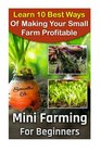 Mini Farming For Beginners Learn 10 Best Ways Of Making Your Small Farm Profitable