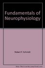 Fundamentals of Neurophysiology