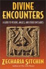 Divine Encounters: A Guide to Visions, Angels, and Other Emissaries
